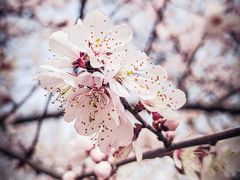 -唐城墙遗址公园