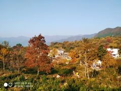 -塔川景区