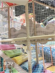 -多奇妙儿童乐园(昆山吾悦店)