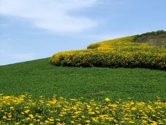 -白鹭湾湿地公园