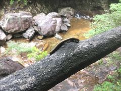 -花岩国家森林公园