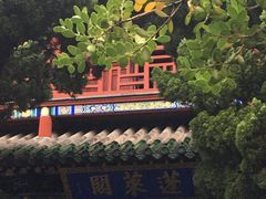 -蓬莱阁景区