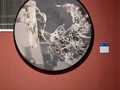 -江苏省美术馆(长江路新馆)