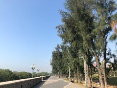 -宝安西湾红树林湿地公园