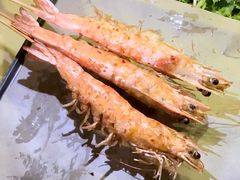 -来自葫芦岛的葫芦娃全碳烧烤