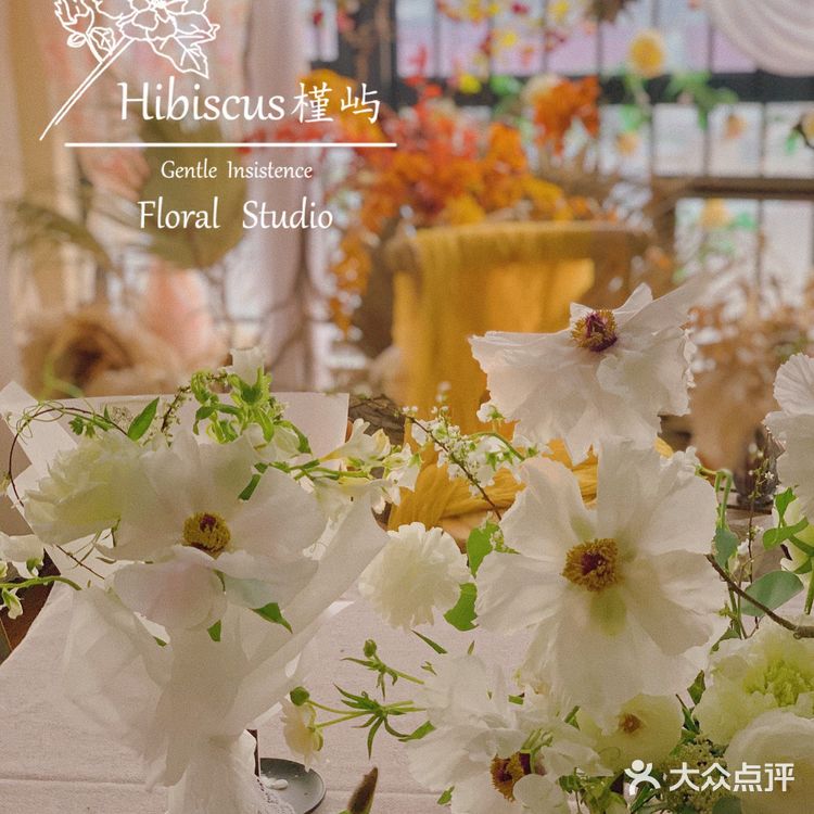 单瓣牡丹开花啦～