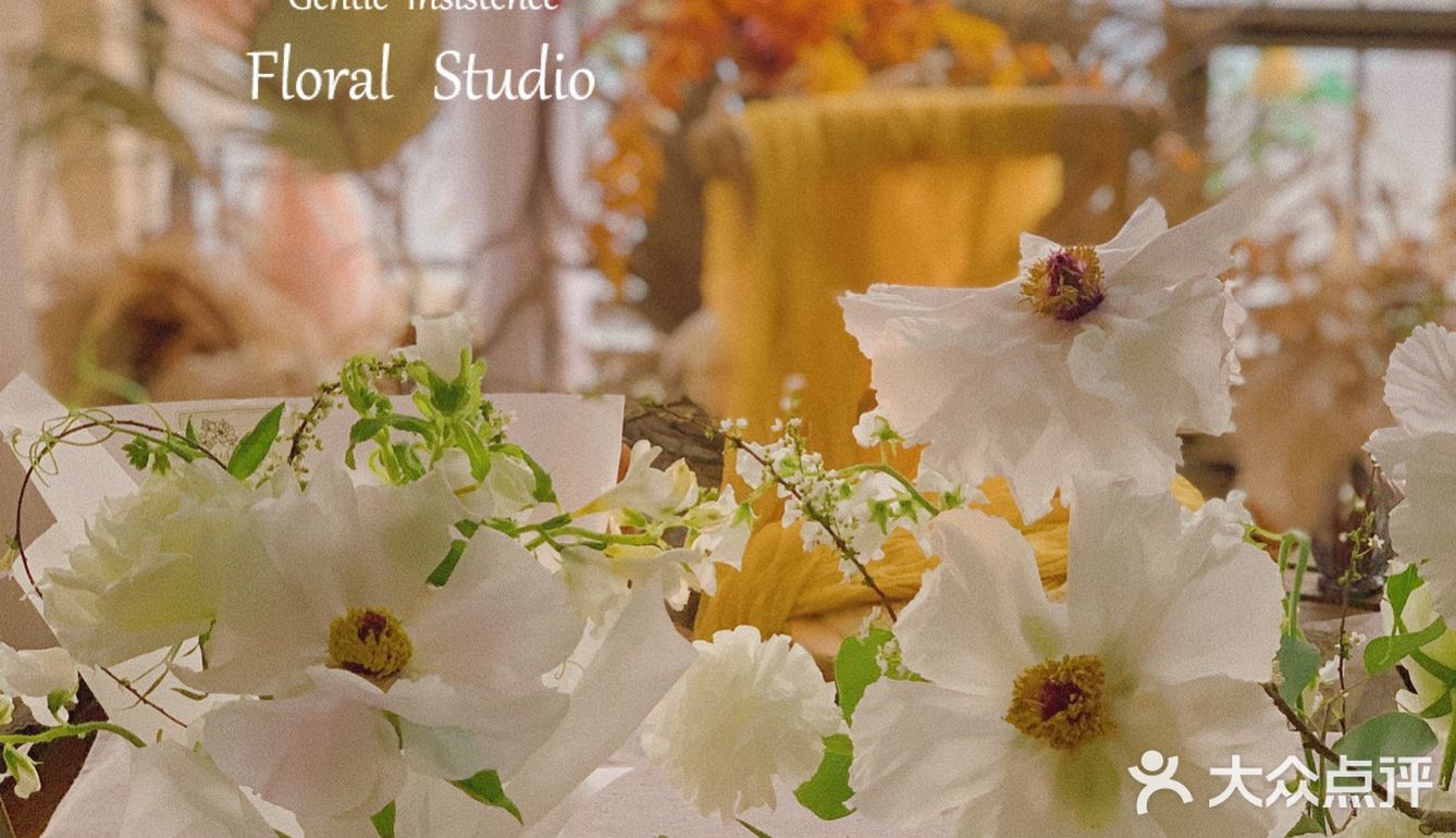 单瓣牡丹开花啦～