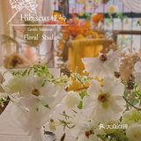 单瓣牡丹开花啦～