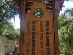 -西双版纳原始森林公园