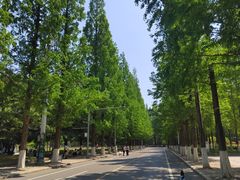 -大连理工大学(凌水校区)