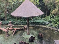 -深圳野生动物园