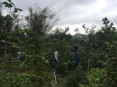 -邹记·美食(斗门店)