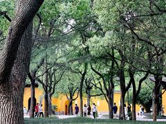 -西园戒幢律寺