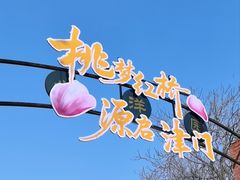 -桃花堤公园
