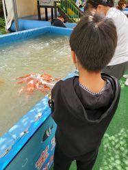 -萌宠亲子动物乐园(槐房万达店)