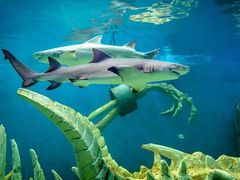 -波塞冬旅游度假区