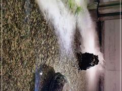 -几荷·恰似故人来(秀水广场店)