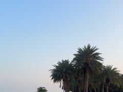 -大湾区中央湿地公园