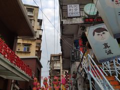 -猫咪博物馆(顶澳仔猫街店)