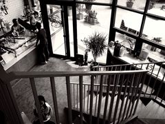 -隹木咖啡馆(宝龙广场店)