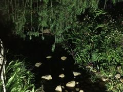 -江门古兜温泉小镇