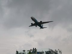 -空港花田景区