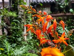 -The Flowers Coffee(南山店)