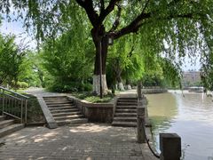 -范蠡湖公园