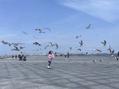 -东港音乐喷泉广场