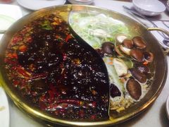 -杨家火锅(国美店)