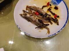 -刘胖子家常菜·蹄花焖藕(中南店)
