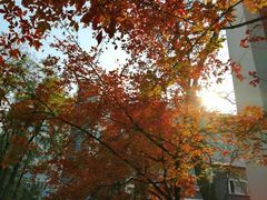 -中央广播电视总台(光华路办公区)