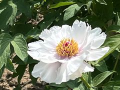 -江南大学(蠡湖校区)