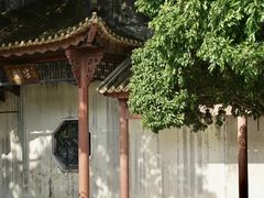 -顺峰山公园