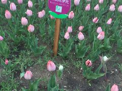 -长春公园(普阳街道)