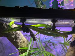 -酷嗒动物文化乐园(cutezoo西溪乐天城店)