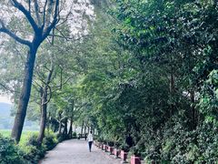 -中国茶叶博物馆(双峰馆区)