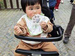 -苏州太湖国家湿地公园