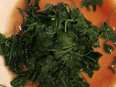 酒香草头-金时代顺风大酒店(金山店)