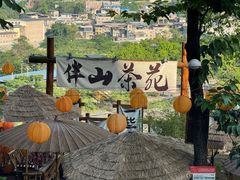 -伴山茶苑·一盏冰茶·半日山居