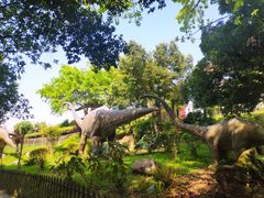 -自贡恐龙博物馆