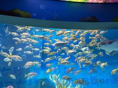 -泉城欧乐堡海洋极地世界