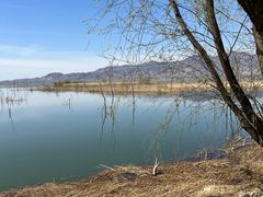 -野鸭湖国家湿地公园