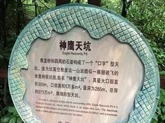 -重庆武隆天生三桥风景区-神鹰天坑