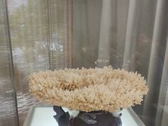 -天怡·鱼工厂(临江店)