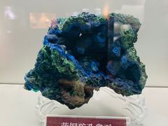 -甘肃地质博物馆