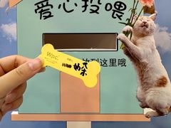 -美罗城