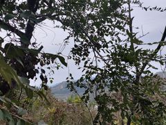 -府君山公园