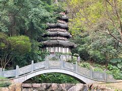 -深圳国际园林花卉博览园