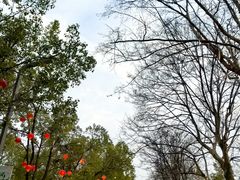 -武汉园博园(武汉自然博物馆)